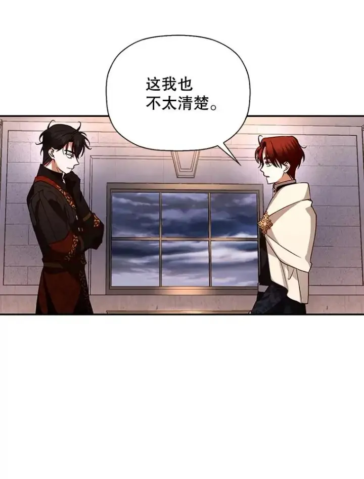 漫画《如何隐藏皇帝的孩子》17.心生疑惑第43张图