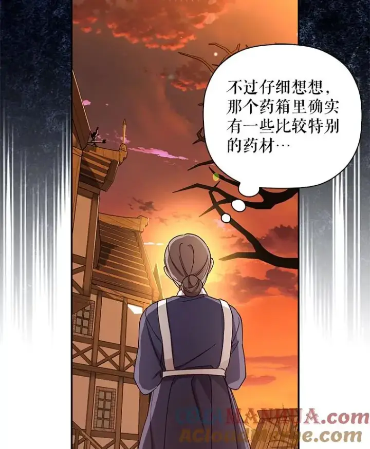 漫画《如何隐藏皇帝的孩子》19.奇怪的侍女第58张图
