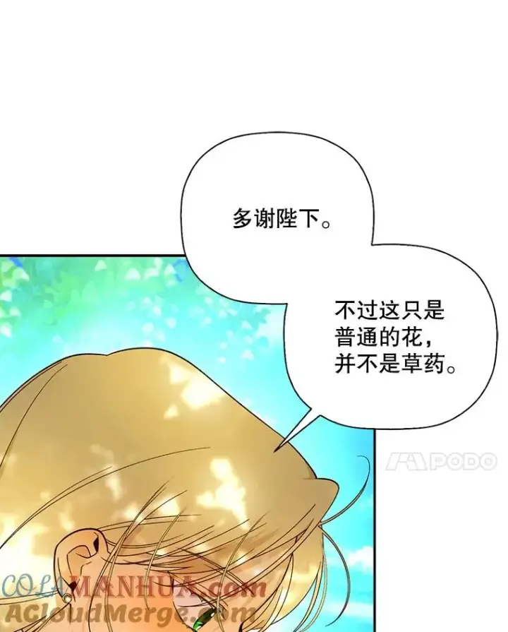 漫画《如何隐藏皇帝的孩子》22.采草药第13张图