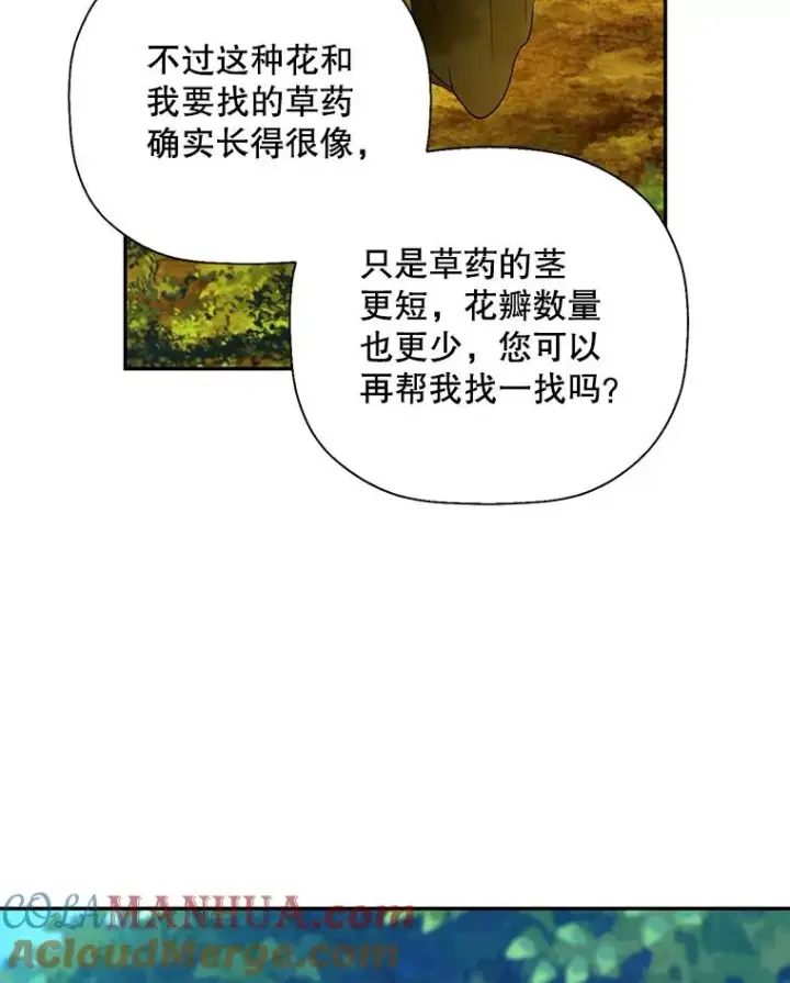 漫画《如何隐藏皇帝的孩子》22.采草药第19张图