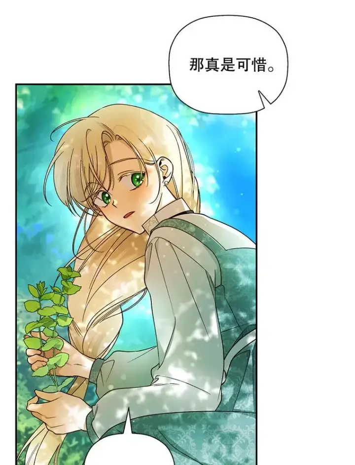 漫画《如何隐藏皇帝的孩子》22.采草药第41张图