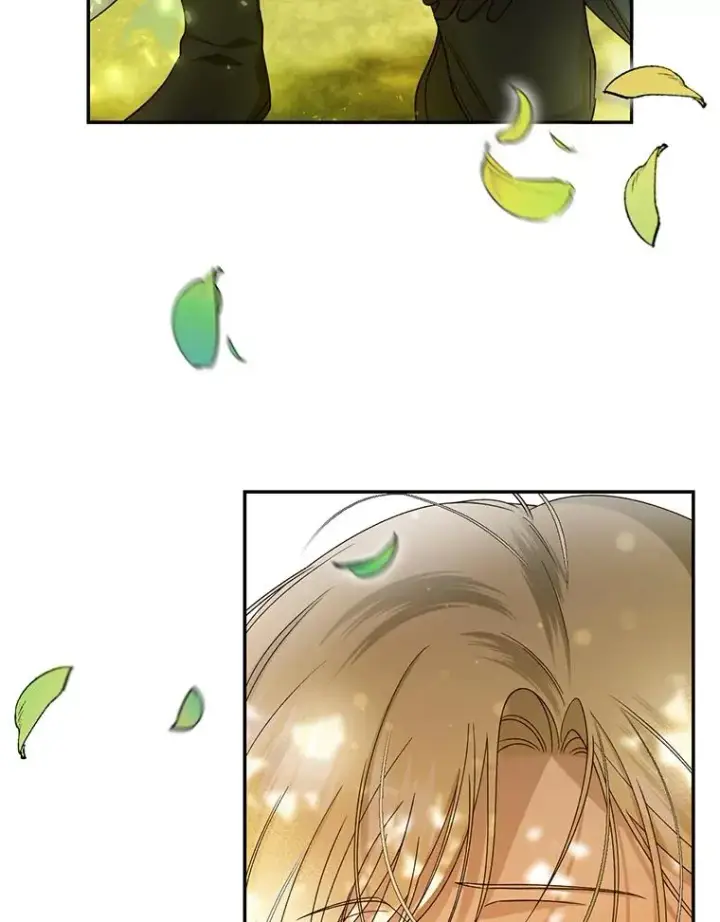 漫画《如何隐藏皇帝的孩子》22.采草药第48张图