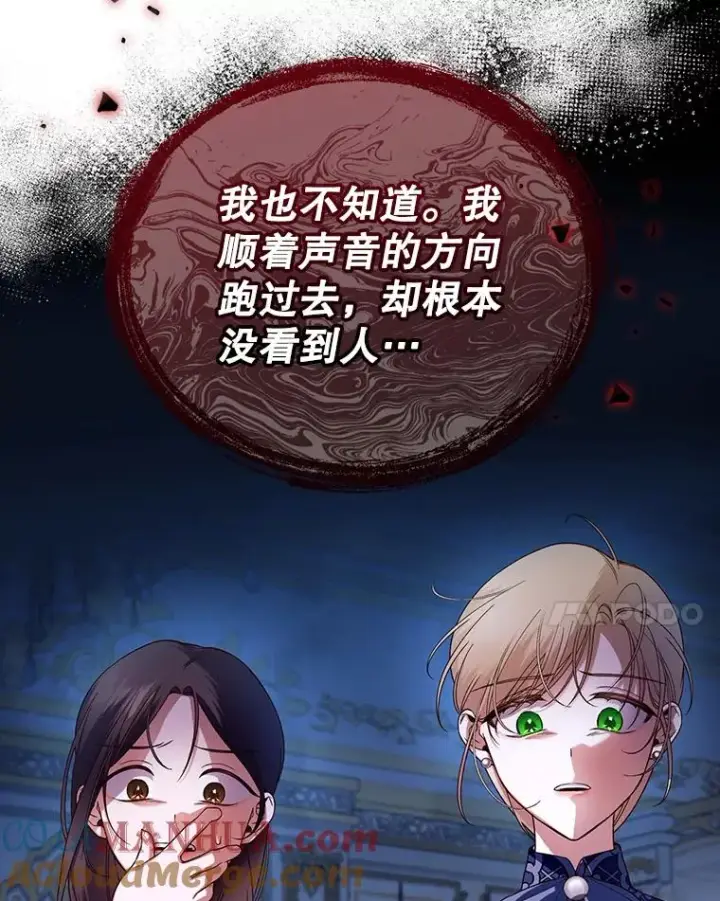 漫画《如何隐藏皇帝的孩子》29.又失踪了！第55张图