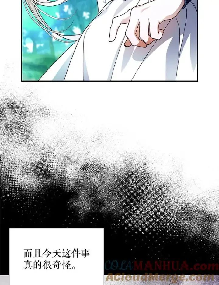 漫画《如何隐藏皇帝的孩子》29.又失踪了！第64张图