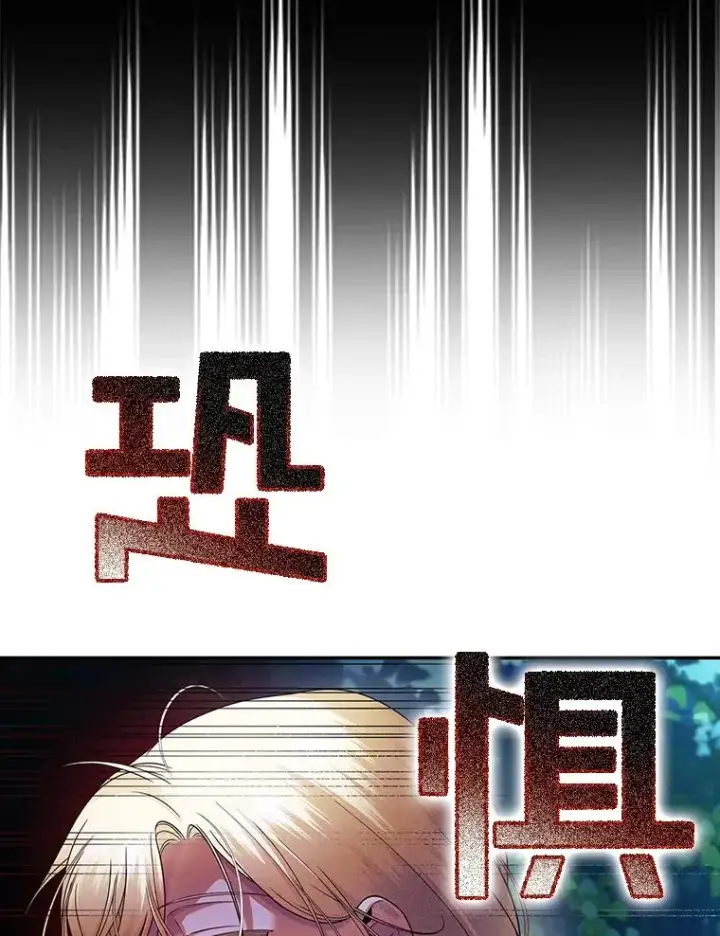漫画《如何隐藏皇帝的孩子》29.又失踪了！第68张图