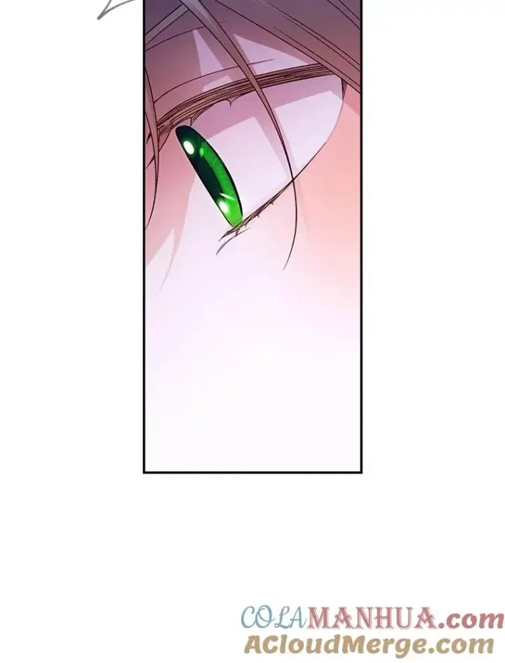 漫画《如何隐藏皇帝的孩子》29.又失踪了！第79张图