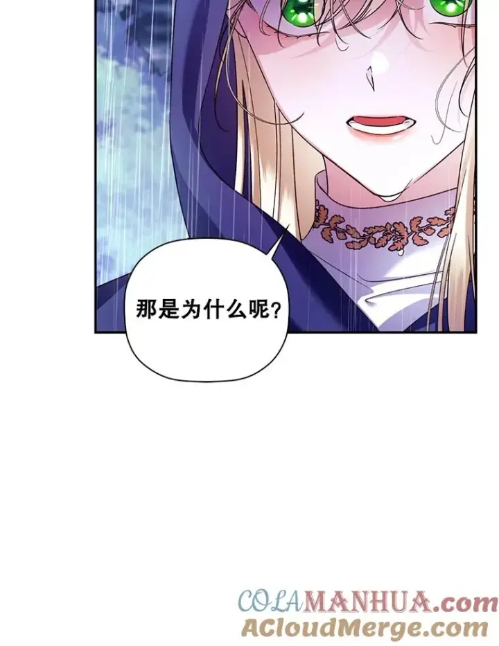 漫画《如何隐藏皇帝的孩子》39.危急时刻第16张图