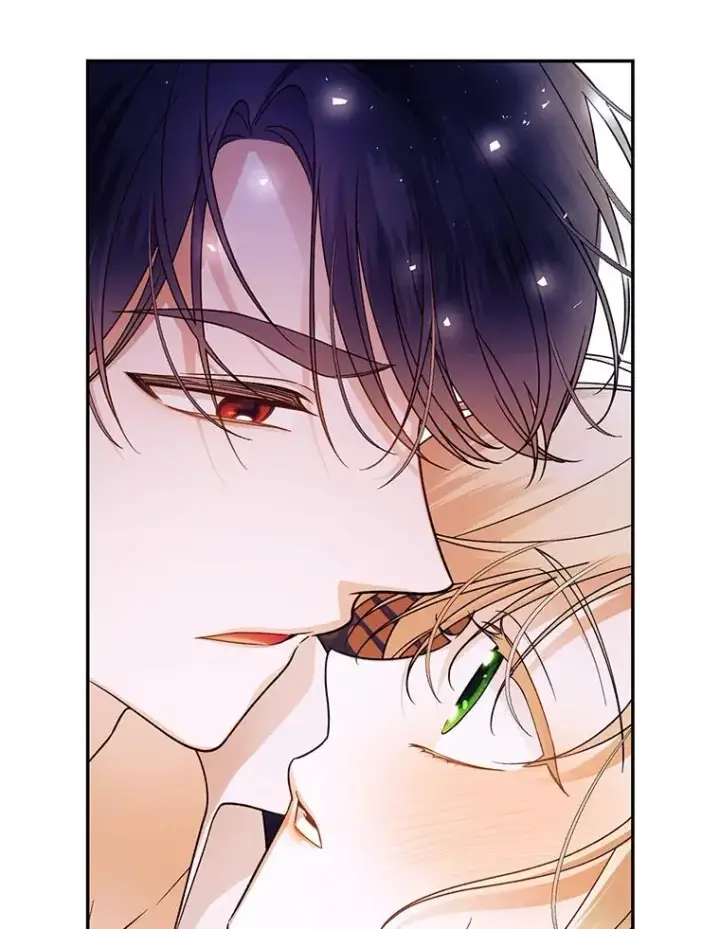 漫画《如何隐藏皇帝的孩子》39.危急时刻第35张图