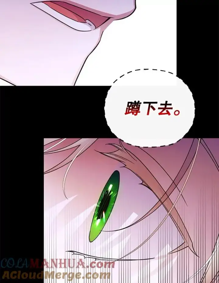 漫画《如何隐藏皇帝的孩子》39.危急时刻第37张图