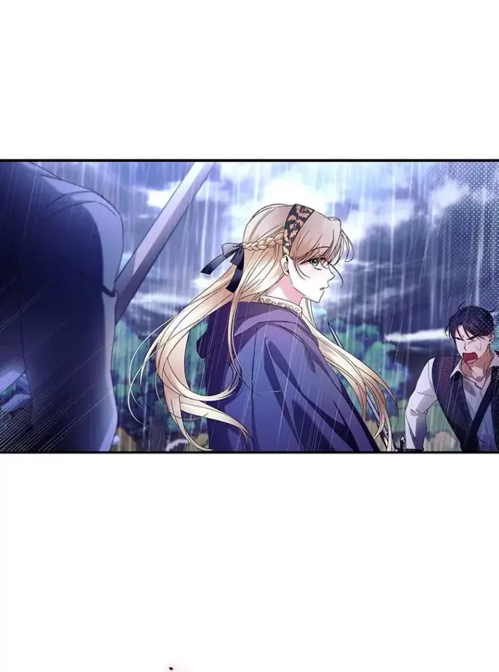 漫画《如何隐藏皇帝的孩子》39.危急时刻第69张图