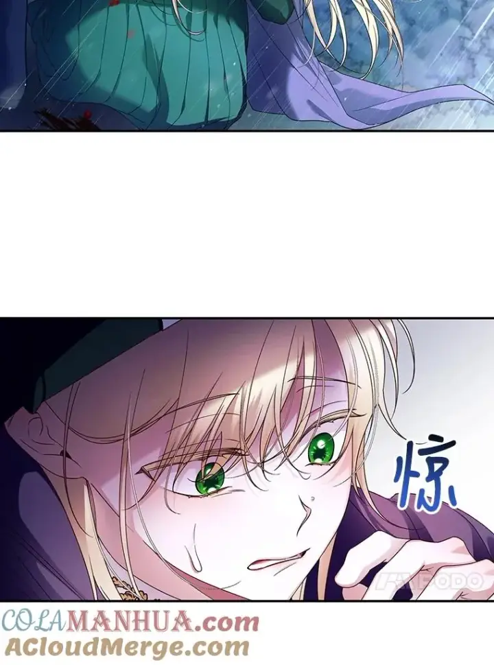 漫画《如何隐藏皇帝的孩子》39.危急时刻第73张图