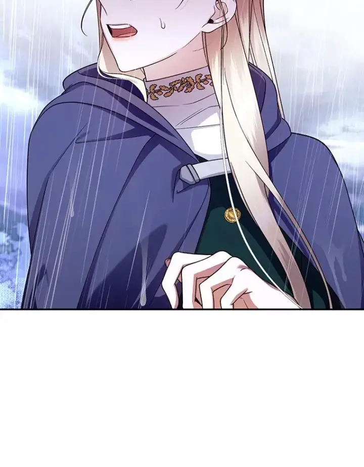 漫画《如何隐藏皇帝的孩子》39.危急时刻第87张图