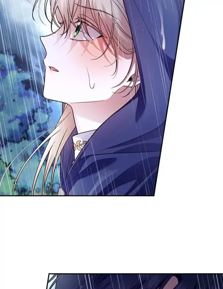漫画《如何隐藏皇帝的孩子》39.危急时刻第9张图