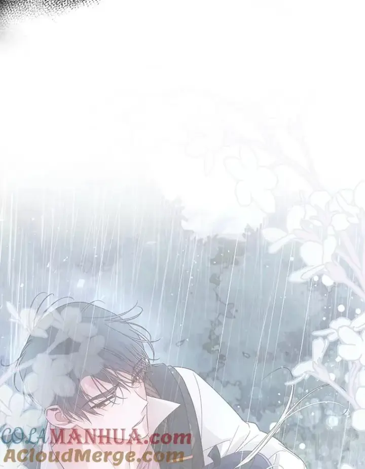 漫画《如何隐藏皇帝的孩子》39.危急时刻第91张图