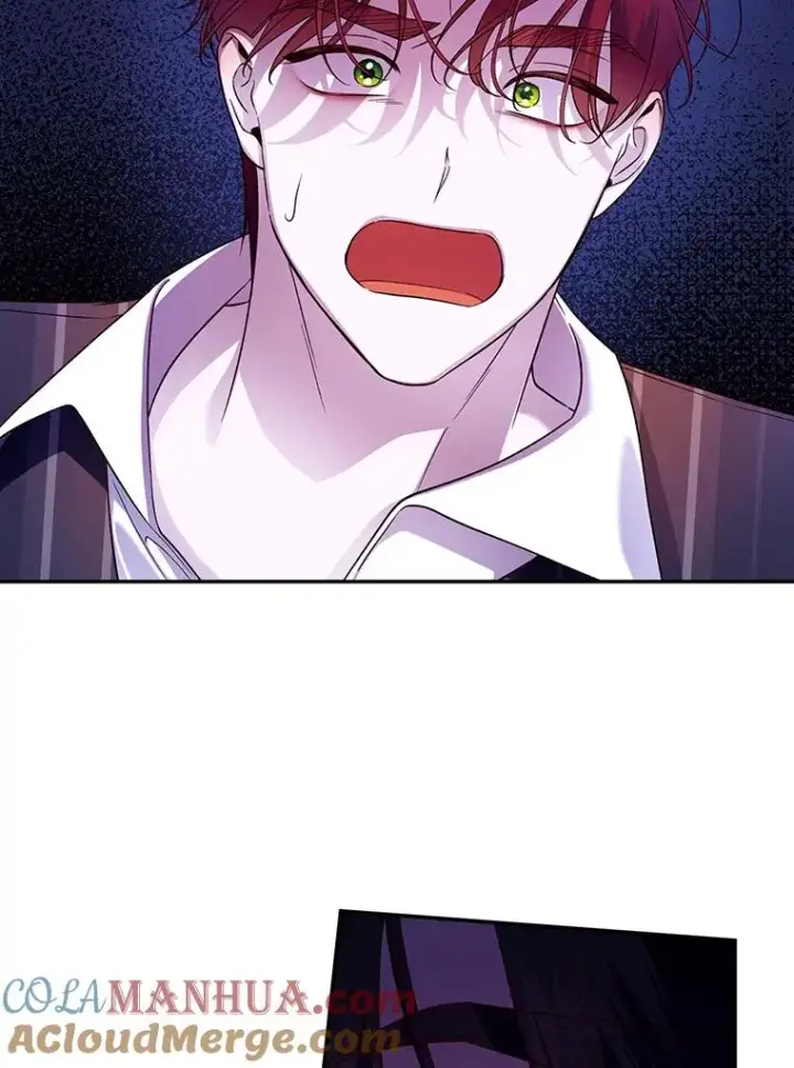 漫画《如何隐藏皇帝的孩子》41.下下策第82张图
