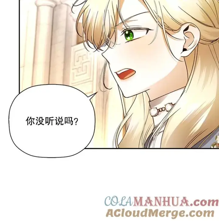 漫画《如何隐藏皇帝的孩子》43.兄妹第13张图