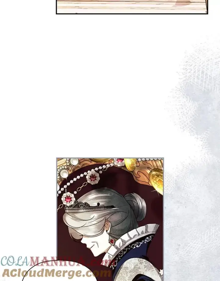 漫画《如何隐藏皇帝的孩子》43.兄妹第43张图