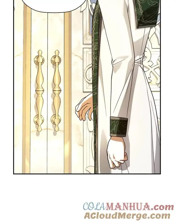 漫画《如何隐藏皇帝的孩子》43.兄妹第49张图