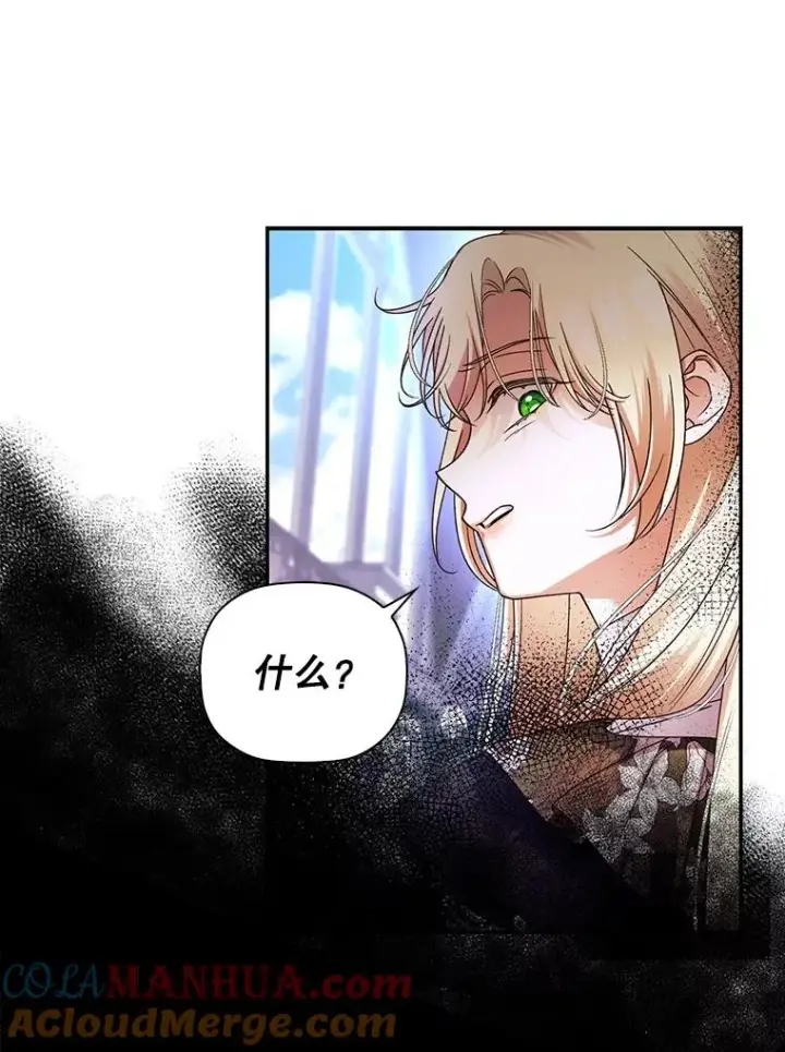 漫画《如何隐藏皇帝的孩子》46.正面交锋第58张图