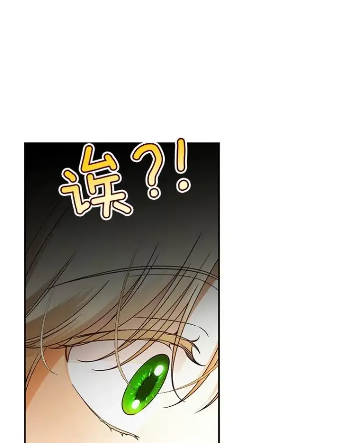 漫画《如何隐藏皇帝的孩子》47.道别第65张图