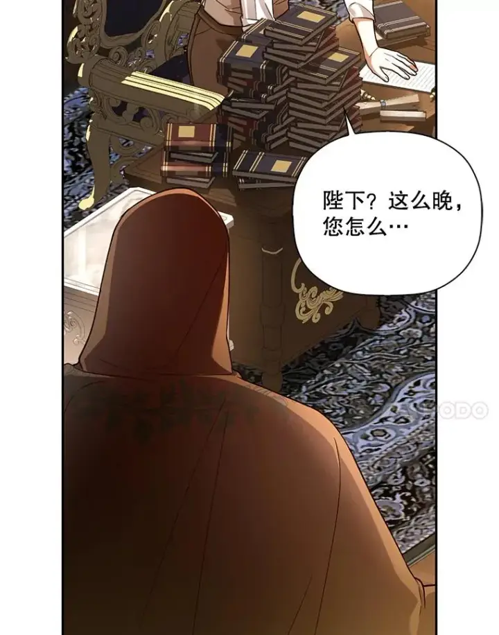漫画《如何隐藏皇帝的孩子》49.露出马脚第104张图
