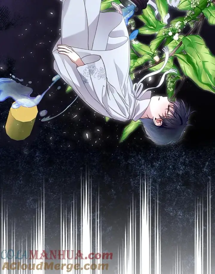 漫画《如何隐藏皇帝的孩子》49.露出马脚第109张图