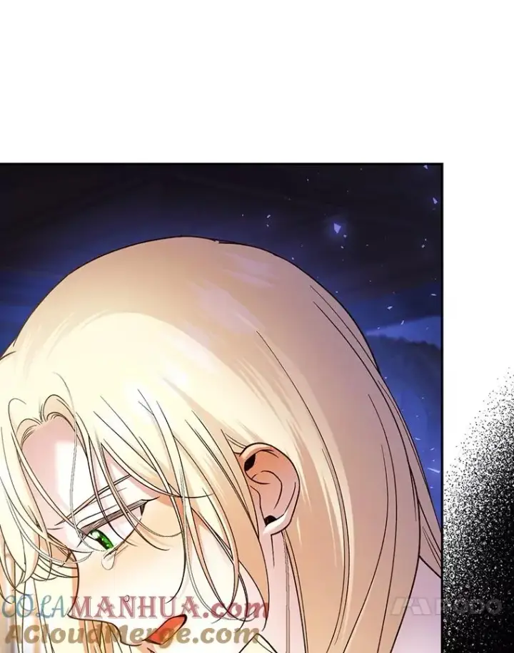 漫画《如何隐藏皇帝的孩子》49.露出马脚第97张图