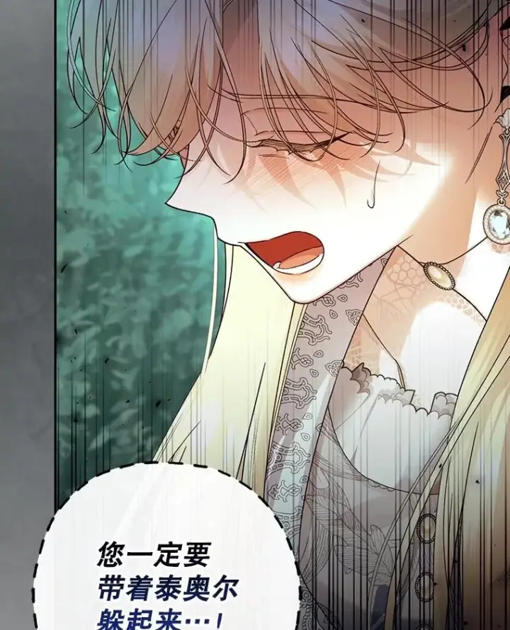 漫画《如何隐藏皇帝的孩子》51.出逃计划第95张图