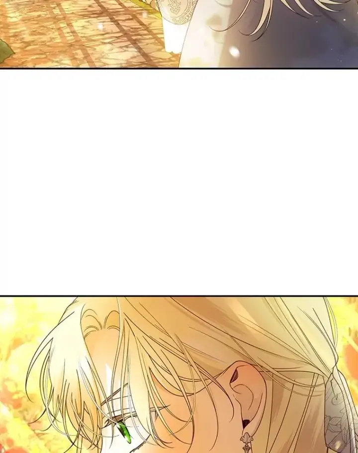 漫画《如何隐藏皇帝的孩子》52.不详的预感第28张图