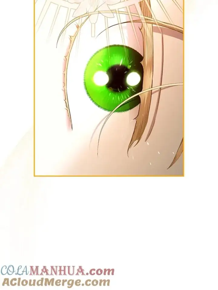 漫画《如何隐藏皇帝的孩子》57.谁的孩子第91张图