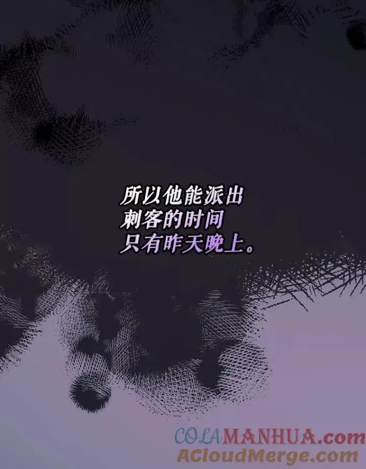 漫画《如何隐藏皇帝的孩子》60.幕后主使第5张图