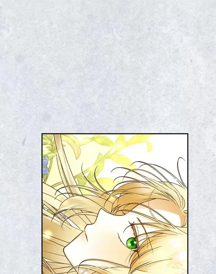 漫画《如何隐藏皇帝的孩子》60.幕后主使第70张图