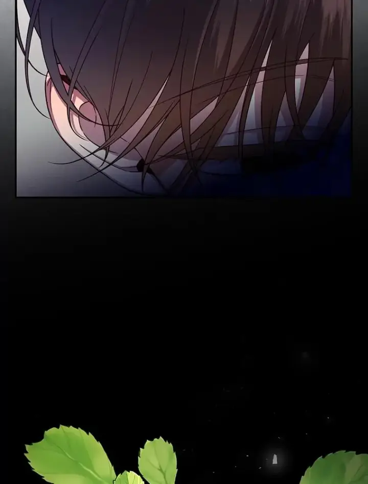 漫画《如何隐藏皇帝的孩子》60.幕后主使第91张图