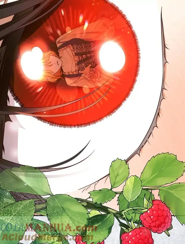 漫画《如何隐藏皇帝的孩子》60.幕后主使第93张图