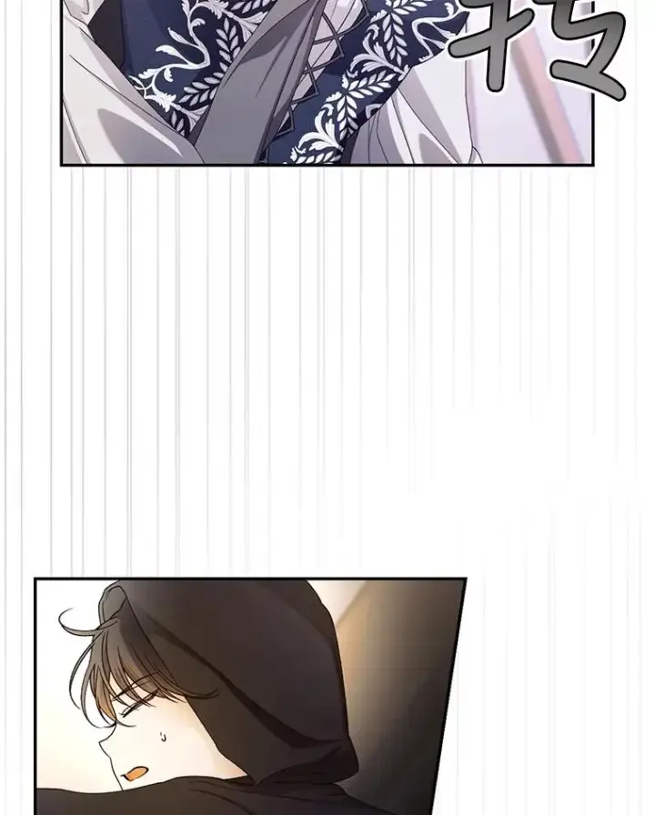 漫画《如何隐藏皇帝的孩子》61.混战第67张图