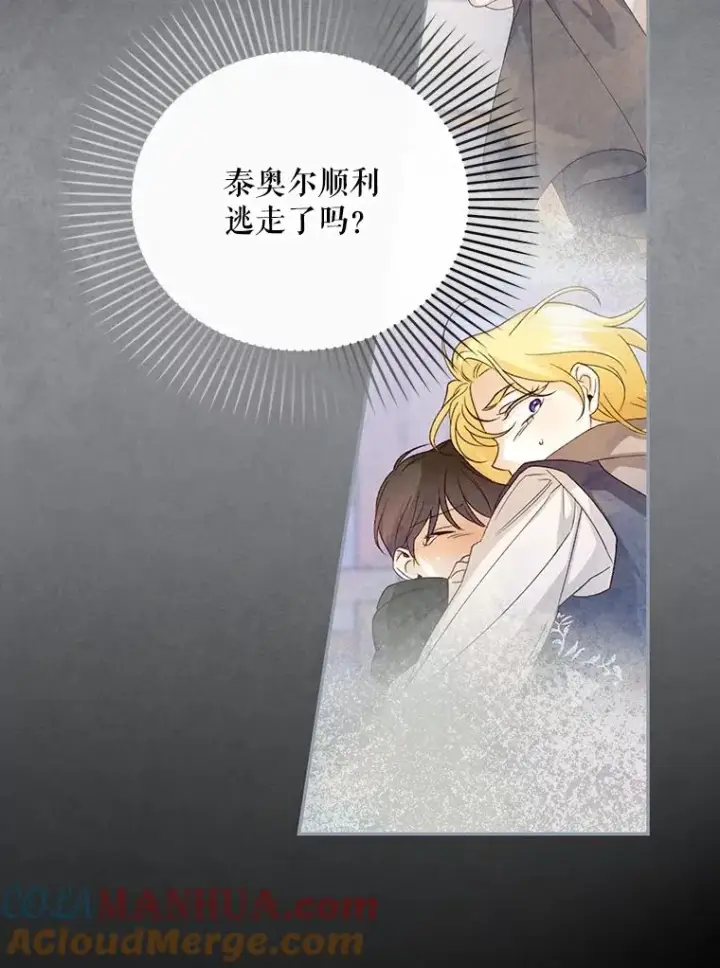漫画《如何隐藏皇帝的孩子》63.决心第28张图