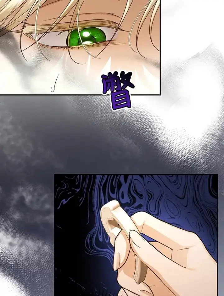 漫画《如何隐藏皇帝的孩子》63.决心第6张图