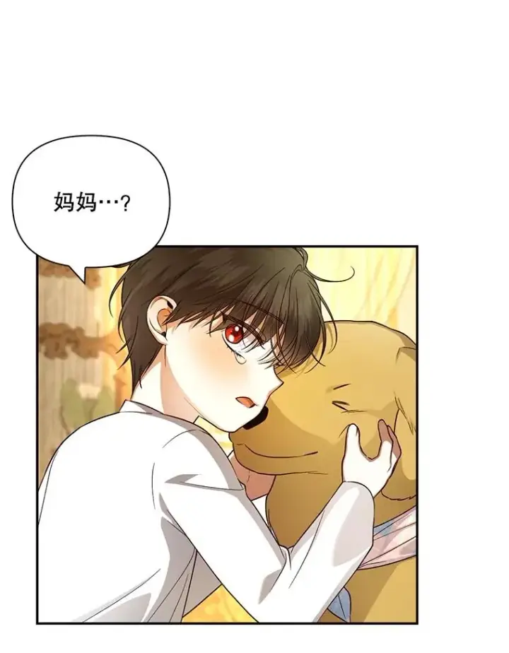 漫画《如何隐藏皇帝的孩子》64.重回皇后之位第55张图