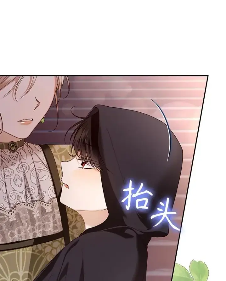 漫画《如何隐藏皇帝的孩子》64.重回皇后之位第6张图