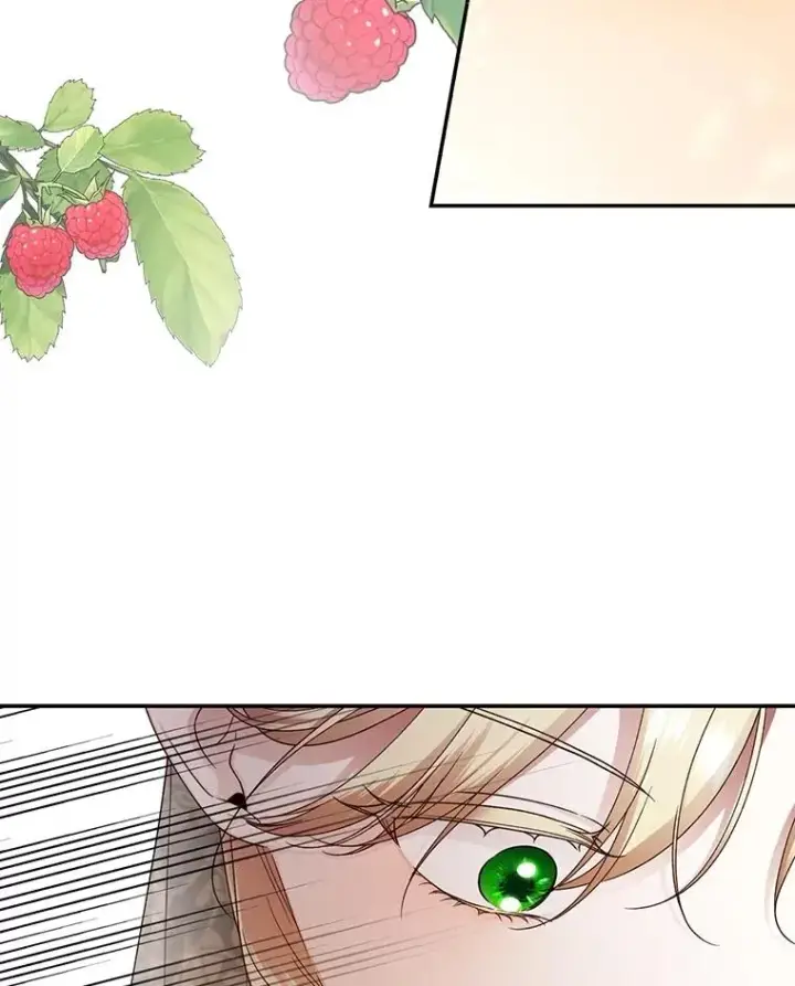 漫画《如何隐藏皇帝的孩子》64.重回皇后之位第8张图