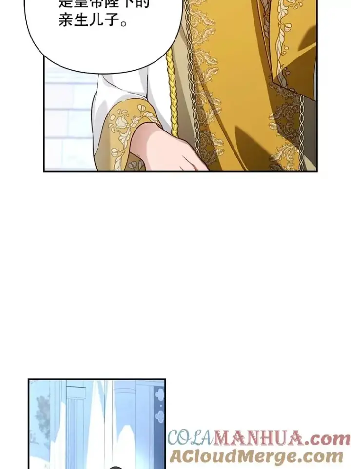 漫画《如何隐藏皇帝的孩子》64.重回皇后之位第97张图