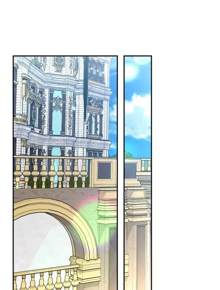 漫画《如何隐藏皇帝的孩子》65.第二次婚礼第23张图