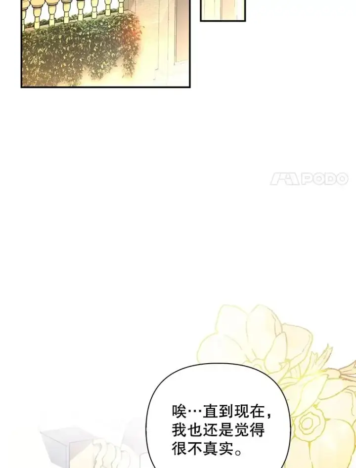 漫画《如何隐藏皇帝的孩子》65.第二次婚礼第24张图