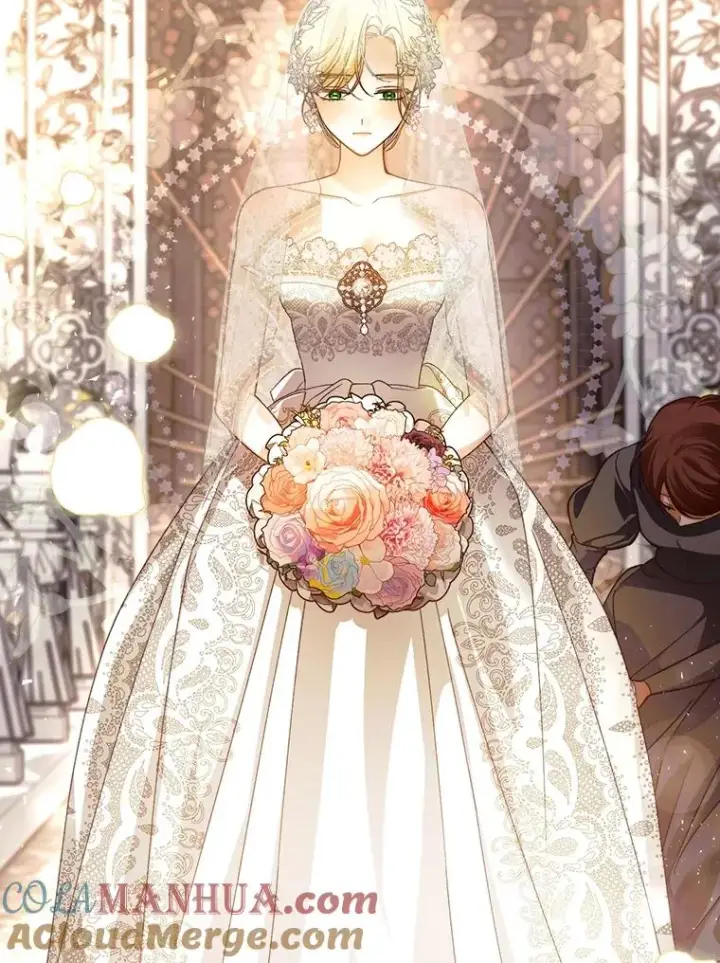 漫画《如何隐藏皇帝的孩子》65.第二次婚礼第33张图