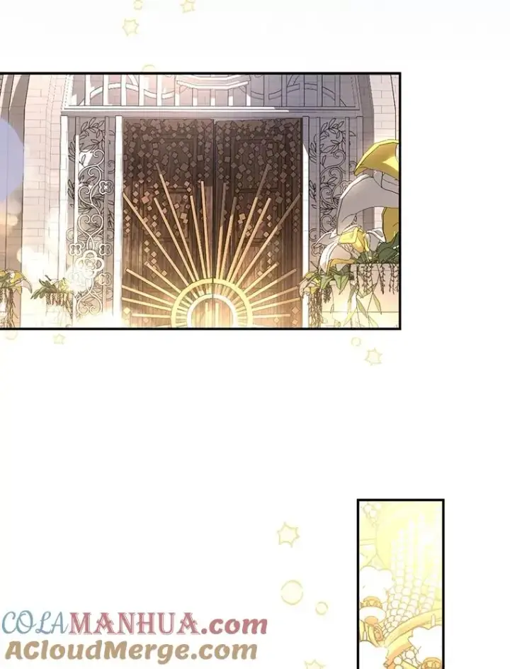漫画《如何隐藏皇帝的孩子》65.第二次婚礼第49张图