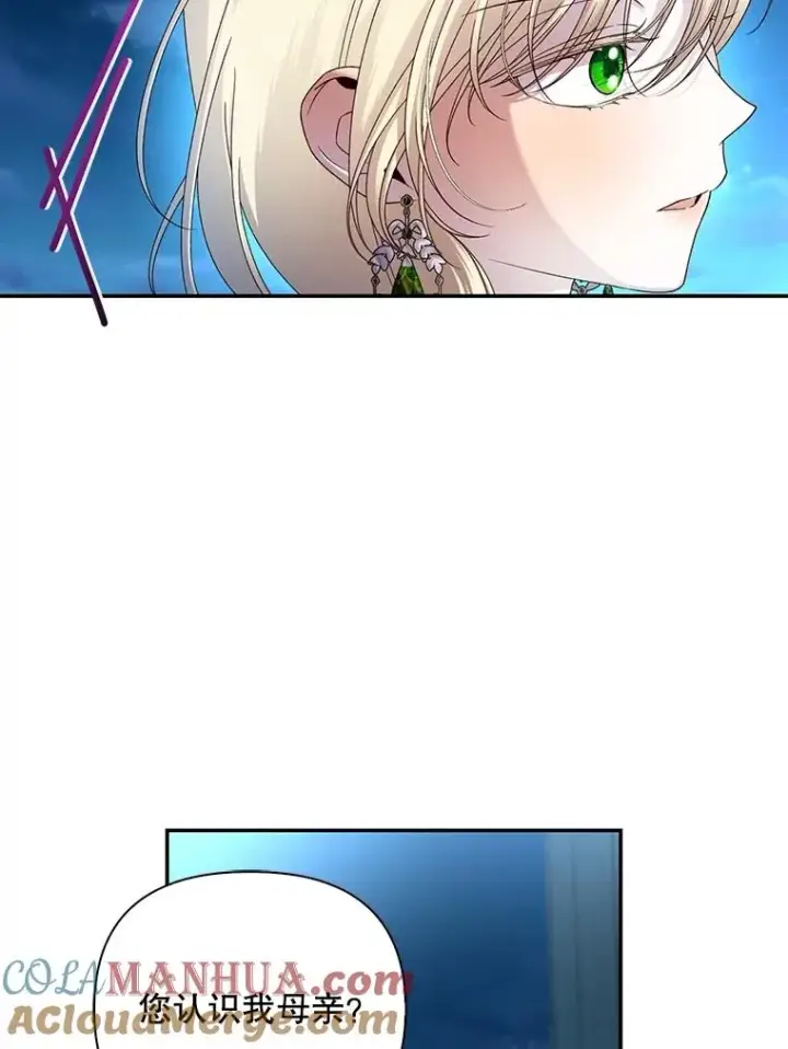 漫画《如何隐藏皇帝的孩子》65.第二次婚礼第69张图