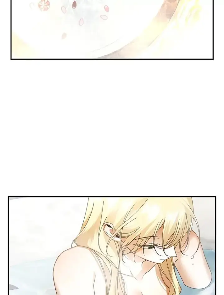 漫画《如何隐藏皇帝的孩子》65.第二次婚礼第84张图