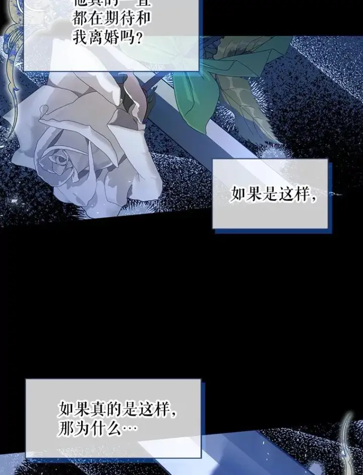 漫画《如何隐藏皇帝的孩子》65.第二次婚礼第94张图