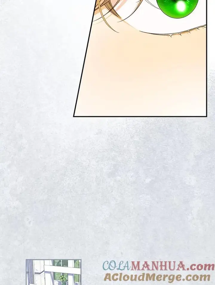 漫画《如何隐藏皇帝的孩子》68.密谋第45张图