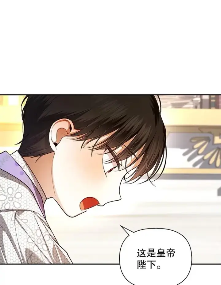 漫画《如何隐藏皇帝的孩子》69.刨根问底第47张图
